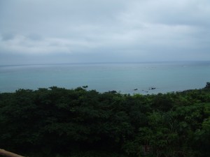 DSCF4454