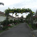 DSCF4474