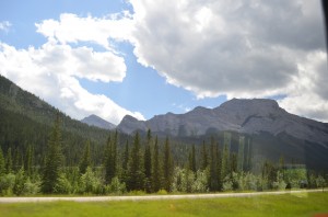 DSC_0030