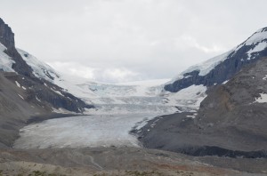 DSC_0397