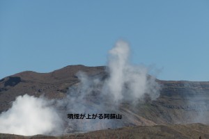 DSCF1884