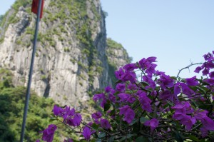 DSC00088ハロン湾20