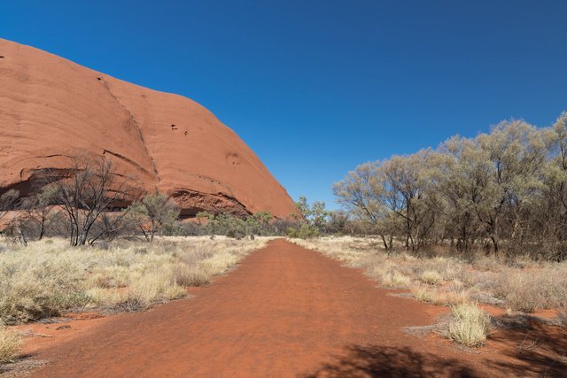 ウルルのふもとの遊歩道
