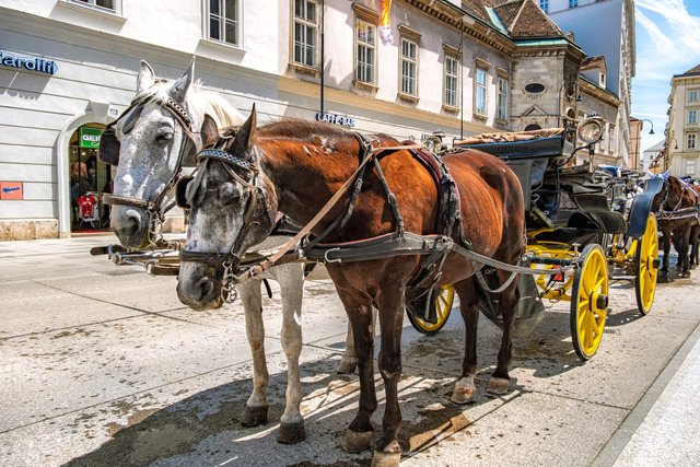 ウィーンの街角で客を待つ馬車（フィアカー）