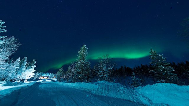 サーリセルカの雪の森とオーロラ