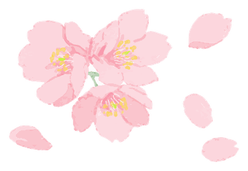 桜の花