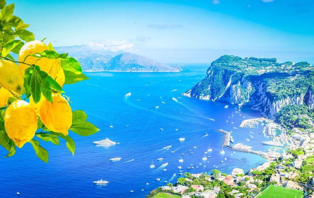 カプリ島 レモンと海