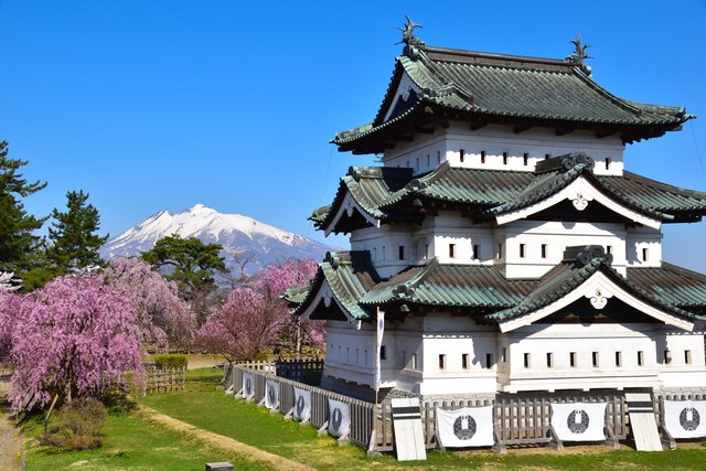 桜の弘前城(青森)