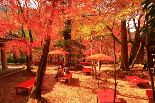 紅葉の瑞宝寺公園(有馬温泉)