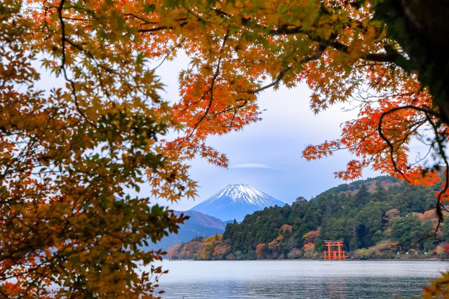 紅葉の芦ノ湖と富士山（箱根）