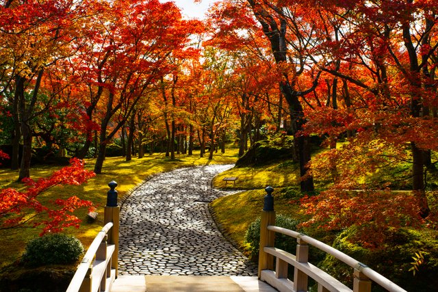 箱根美術館の庭園の紅葉