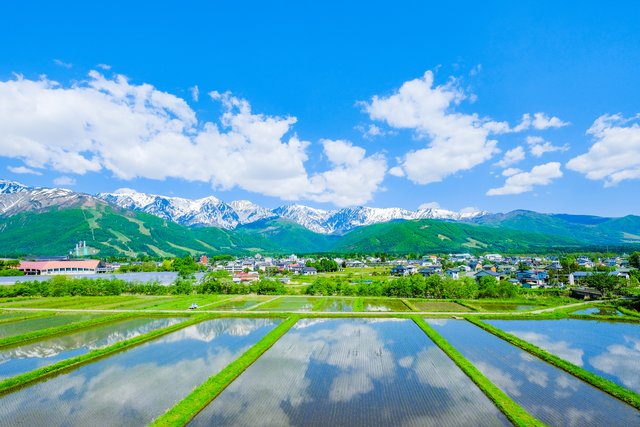 新緑の白馬村(長野)
