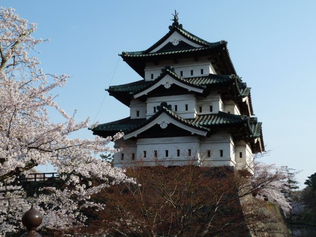 桜の弘前城