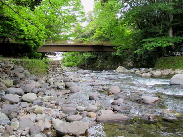 湯ヶ島温泉の渓流（伊豆）