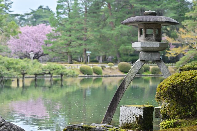 春の兼六園（金沢）
