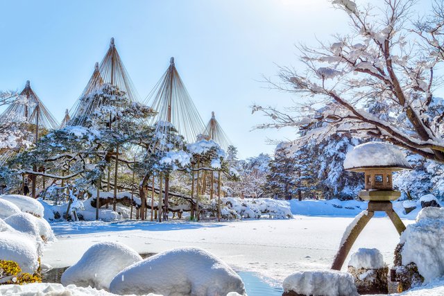兼六園の雪吊り(金沢)