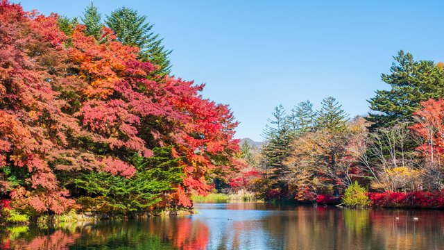 紅葉の雲場池(軽井沢)