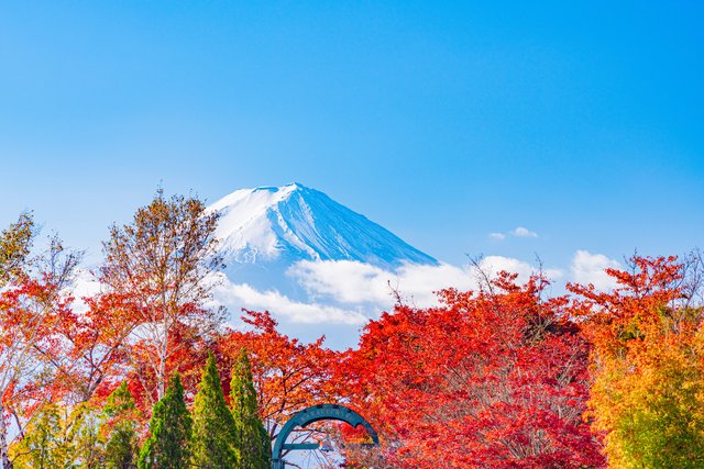 紅葉と富士山(河口湖)