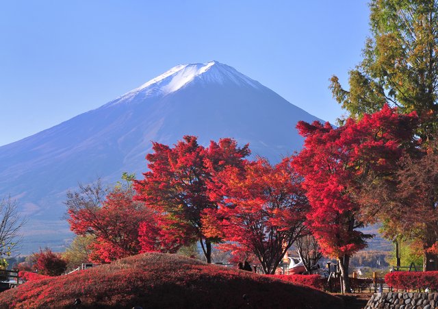 河口湖のもみじ回廊と富士山