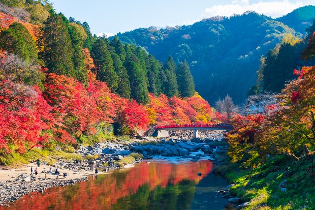 紅葉の香嵐渓(愛知)