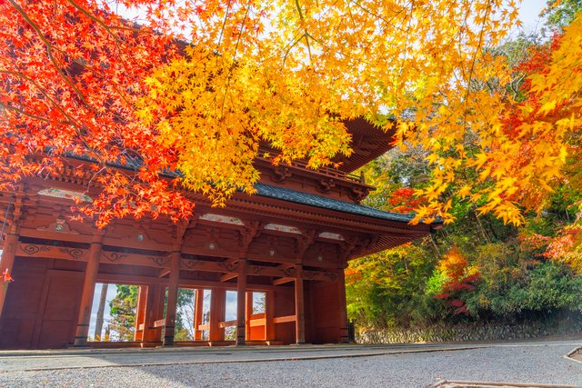 紅葉の高野山・大門(和歌山)