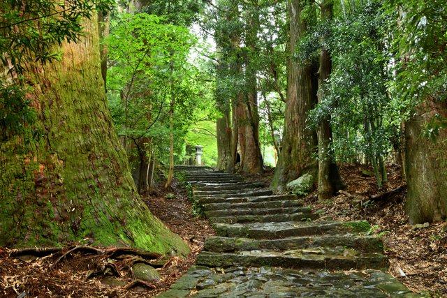 熊野古道の大門坂(和歌山)
