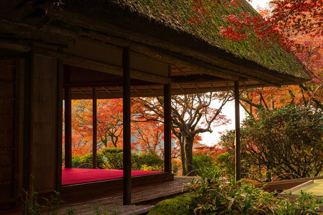 秋の九年庵（佐賀）