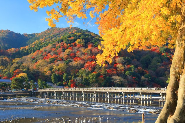 紅葉の嵐山と渡月橋(京都)