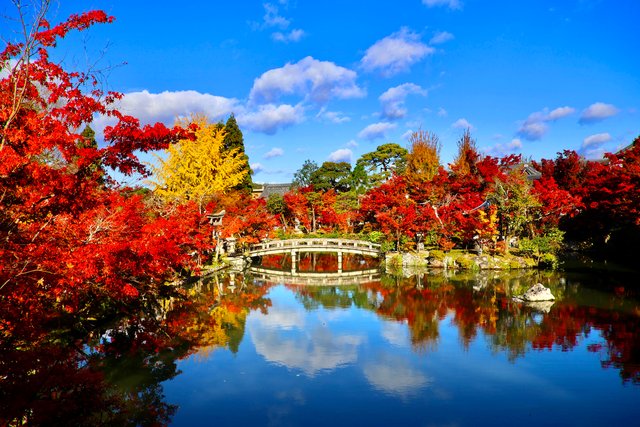 紅葉の永観堂(京都)