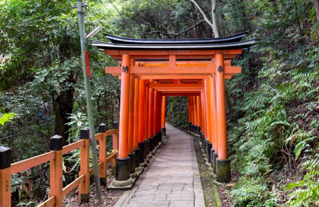 伏見稲荷大社の千本鳥居(京都)