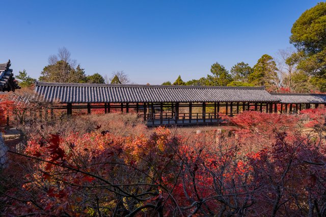 紅葉の東福寺・通天橋(京都)