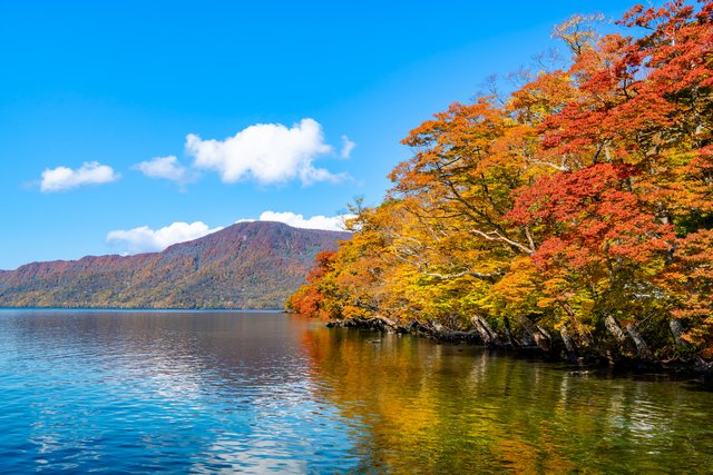 紅葉の十和田湖