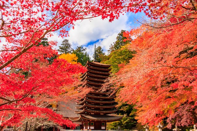 紅葉の談山神社(奈良)