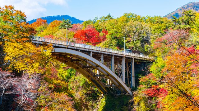 紅葉の鳴子峡（宮城）