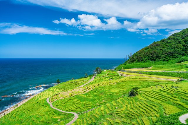 白米千枚田(能登)
