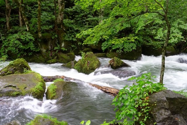 奥入瀬渓流（青森）