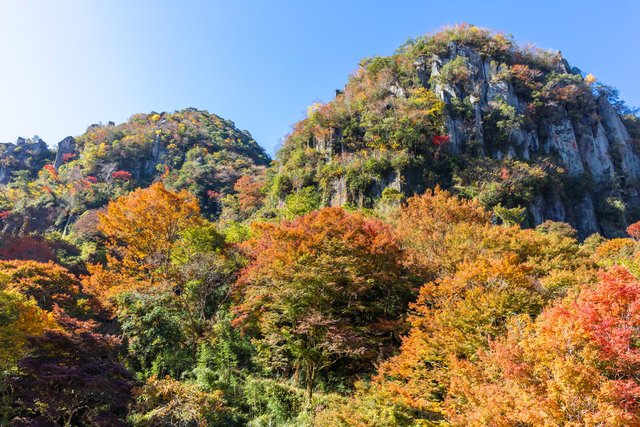 秋の耶馬溪・一目八景(大分)