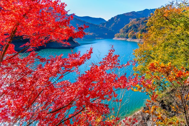 紅葉の奥多摩（東京）