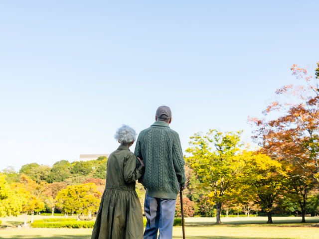 公園を歩くシニアの夫婦