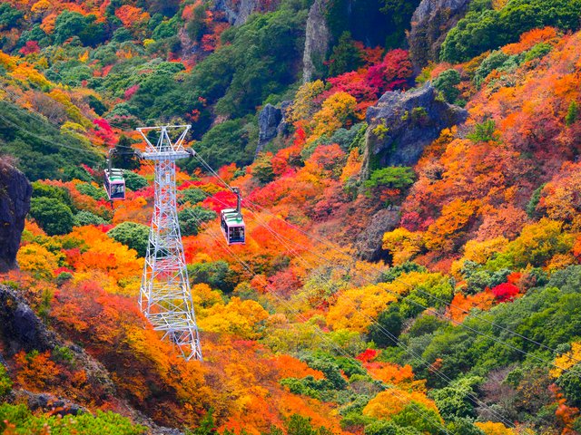 紅葉の寒霞渓ロープウェイ(小豆島)