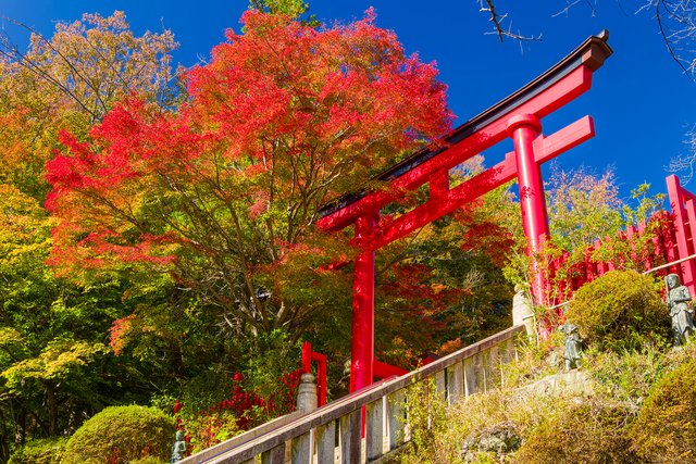 紅葉の高尾山薬王院(東京)