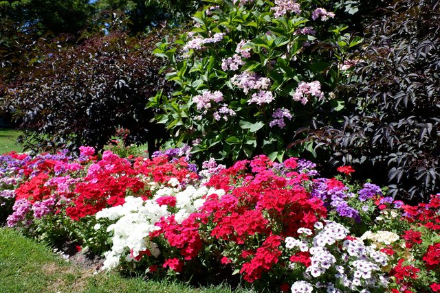 花の多いクライストチャーチの公園