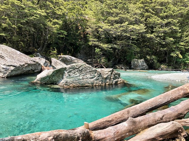 ルートバーン・トラックの川と森