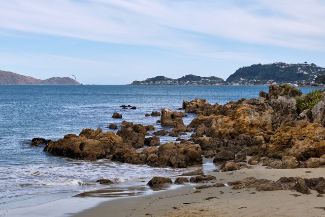 カラカ・ベイの海岸(ウェリントン)