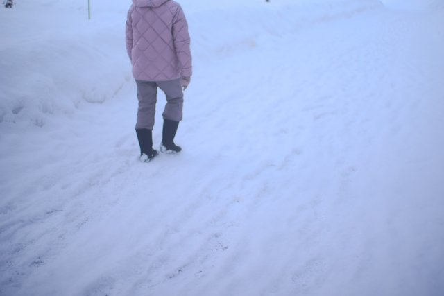 ダウンジャケットとブーツで雪道を歩く人